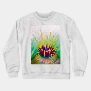 Eye Sea You Crewneck Sweatshirt